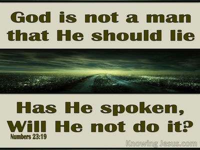 Numbers 23:19 God Has Spoken (green)